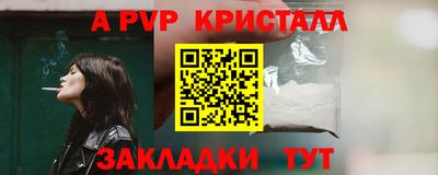 тгк Бийск