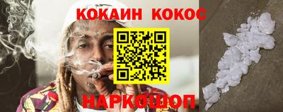 тгк Бийск