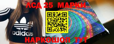 тгк Бийск