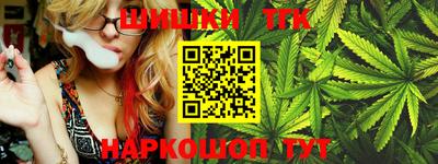 тгк Бийск