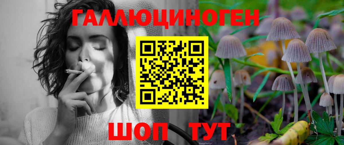 Псилоцибиновые грибы прущие грибы Коломна