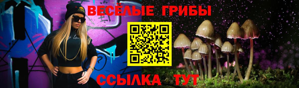 Коломна  Псилоцибиновые грибы мицелий  Вход с VPN 